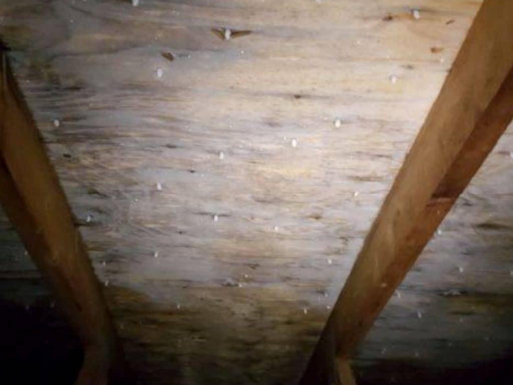 Le givre dans le grenier peut mener à une infiltration d'eau par la toiture